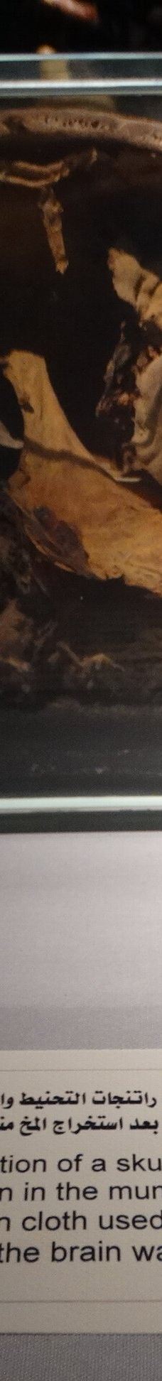 木乃伊博物馆-卢克索