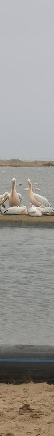 长滩休闲公园-Langstrand