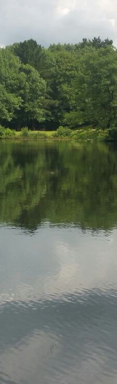 Parc des Gayeulles-雷恩