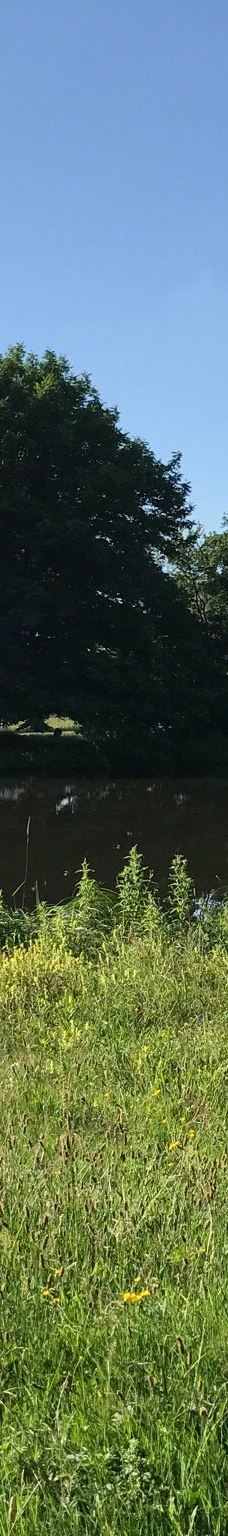 Park De Wezenlanden-兹沃勒