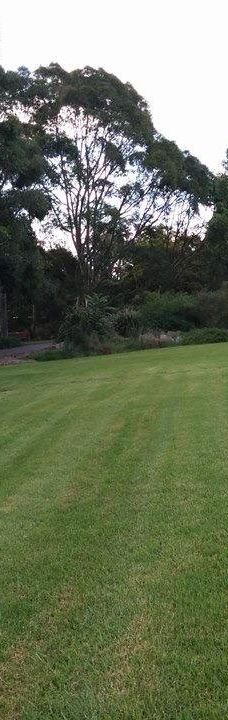 卧龙岗植物园-Keiraville