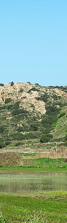 Zappa Amphi Shuni-Binyamina-Giv'at Ada