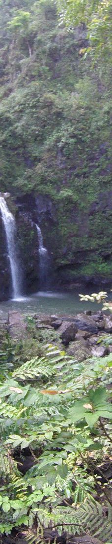 Upper Waikani Falls-茂宜县