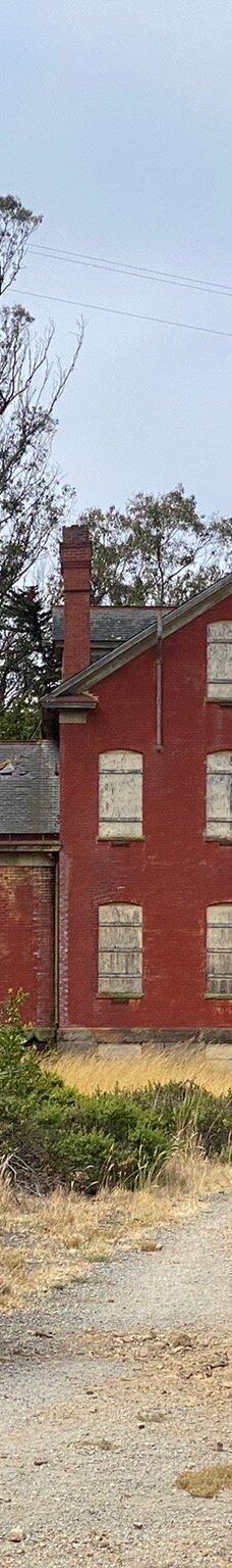 安琪儿岛-蒂伯龙