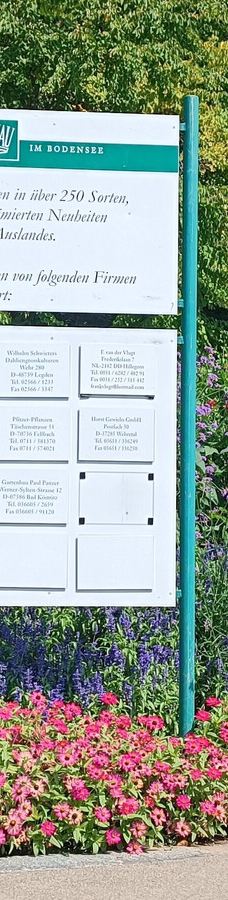 迈瑙岛-康斯坦茨