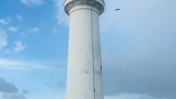 馬納爾島