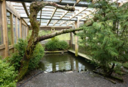 Prince Rupert Wildlife Rehab Shelter景点图片