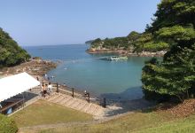 鲸鱼滨海水浴场景点图片