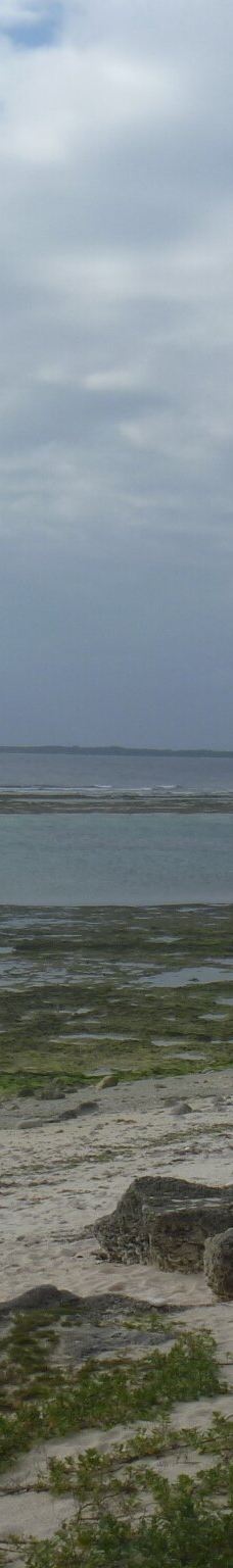 中本海岸-竹富町