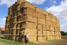 Suffolk Wildlife Trust at Trimley Marshes景点图片