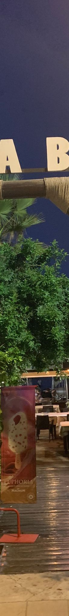 Paseo Maritimo de Estepona-埃斯特波纳