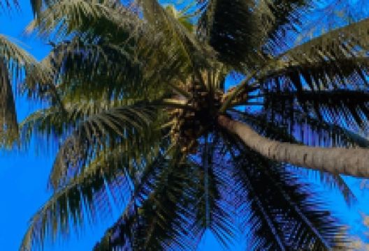 Majali Beach Village景点图片