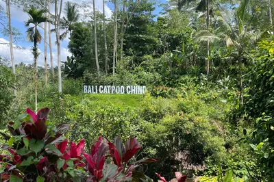 珊翠亚咖啡种植园