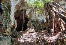 Cathedral Cave (Spider Cave)景点图片