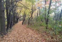 Audubon Wetlands Preserve景点图片