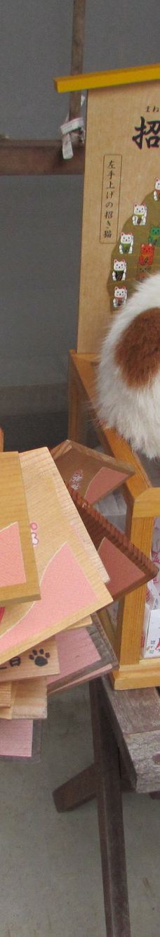 Gotanjoji Temple-越前市