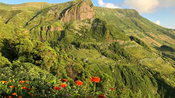 Rocha dos Bordões