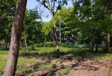 権现山古坟群景点图片