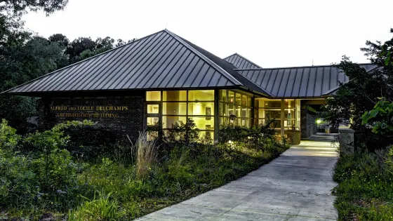 University of South Alabama Archaeology Museum