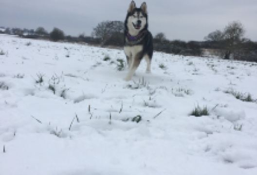 Southwick Country Park景点图片