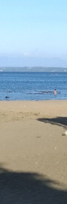 Playa Los Cisnes-兰奎休