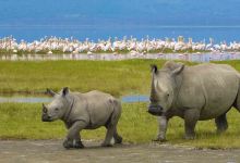 Translen Investment景点图片