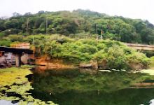 Hlabane Bridge RBM Road景点图片