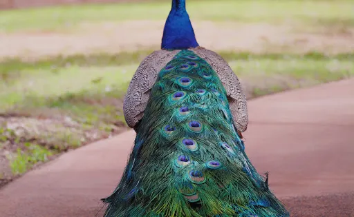 Bunbury Wildlife Park