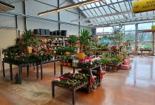 Gamm vert购物图片