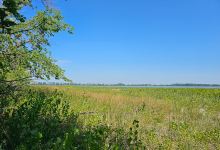 Twin Lakes State Wildlife Management Area景点图片