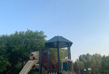 Brook Oaks Park景点图片