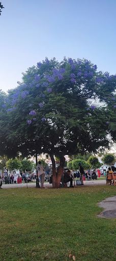 Bni Makada Garden-丹吉尔-阿西拉省