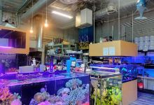 Age of Aquariums购物图片