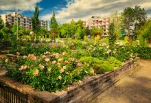 Waldkur Park景点图片