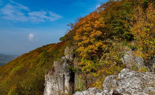 Burgruine Lichtenstein