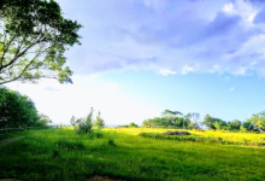 役政公园景点图片