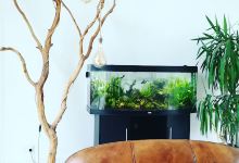 Aquarium service 78 - Installation, entretien, dépannage aquarium景点图片