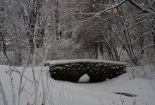 Arboretum Park景点图片