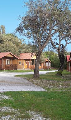 Camping La Buganvilla-马贝拉