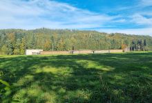 Naturerlebnisweg und Motorikpark Schalchen景点图片