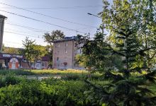 Detskiy Park景点图片