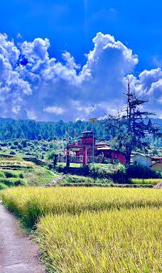 Ashigram Temple-达代尔图拉