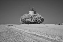 Wasserturm Moosinning景点图片