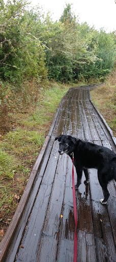 Jackson-Frazier Wetlands-本顿县