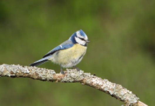 Norra Hyn景点图片