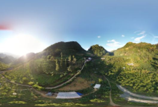 Vườn Hoa mơ hoa mận景点图片