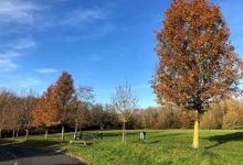 Radstock Way Open Space景点图片