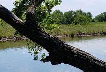 Prairie Lake景点图片