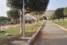 al amal Garden景点图片