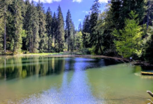 Finsteres Loch景点图片